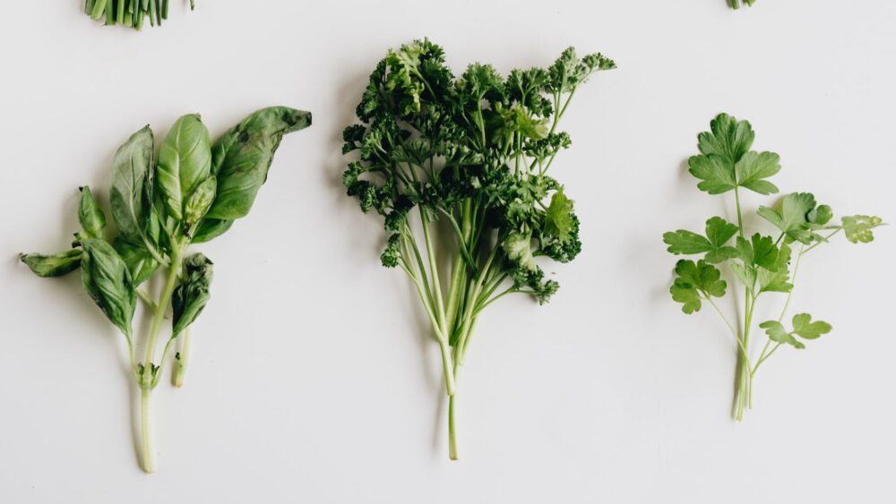 Najlepsze zioła nasenne i uspokajające