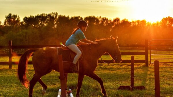 Parajeździectwo – co to za sport, na czym polega i kto może go uprawiać?